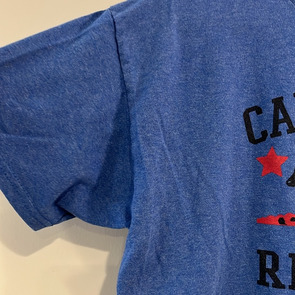 CALIFORNIA REPUBLIC Youth Large Blue Short Sleeve T-Shirt Bear 1846 Hollywood - Picture 3 of 5